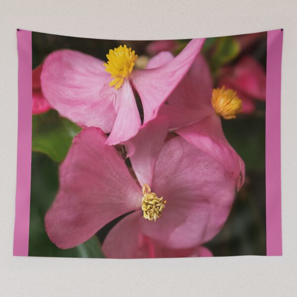 Item preview, Pink Begonia designed and sold by heatherfriedman.