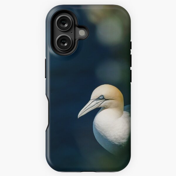 Item preview, Gannet designed and sold by kt-photography.