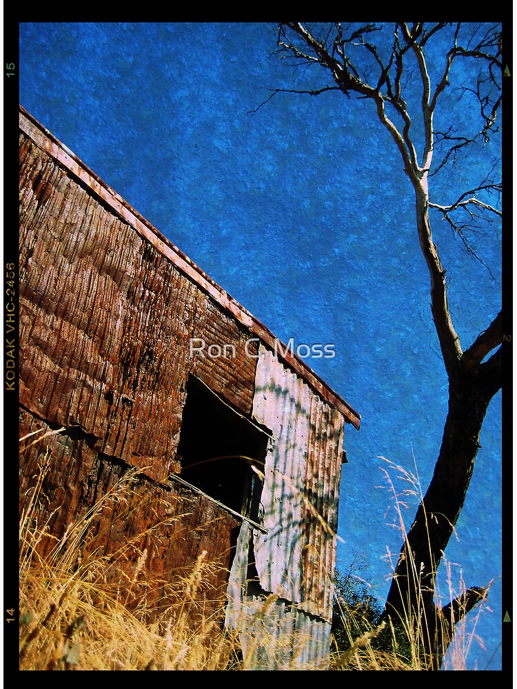 Shed and Sky by ronmoss