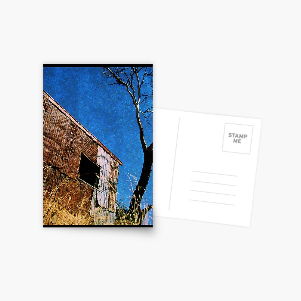 Shed and Sky Postcard
