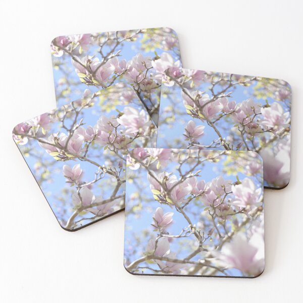 Item preview, A Magnolia photographed in sunlight designed and sold by JessicaKeegan.