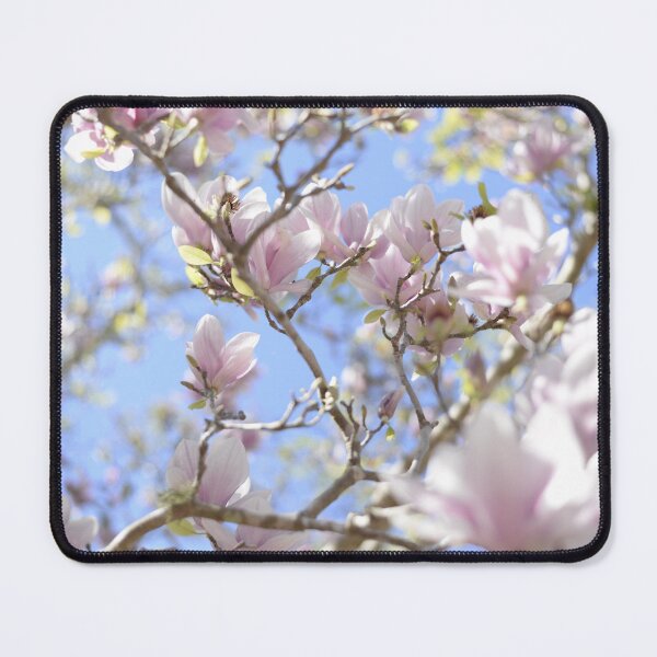 Item preview, A Magnolia photographed in sunlight designed and sold by JessicaKeegan.