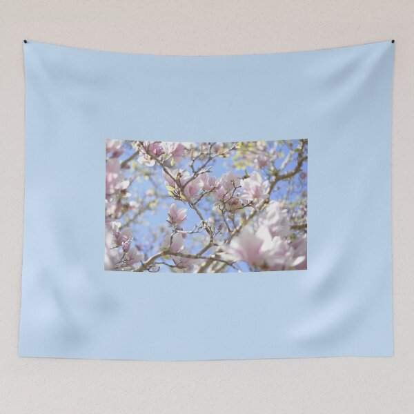 Item preview, A Magnolia photographed in sunlight designed and sold by JessicaKeegan.