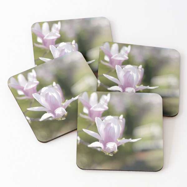 Item preview, A Magnolia, Photographed in my street designed and sold by JessicaKeegan.