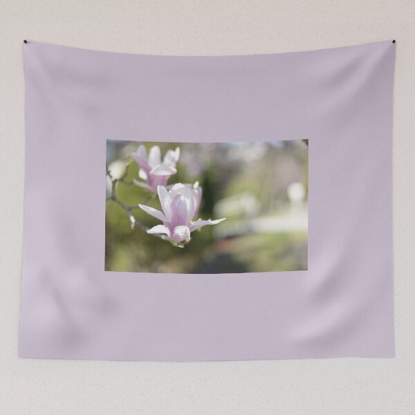 Item preview, A Magnolia, Photographed in my street designed and sold by JessicaKeegan.