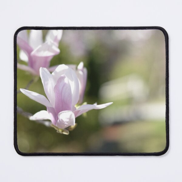 Item preview, A Magnolia, Photographed in my street designed and sold by JessicaKeegan.