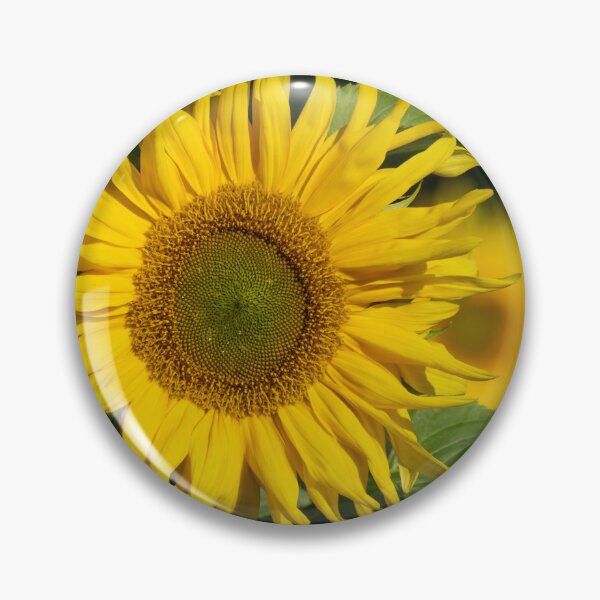 Item preview, Facing the sun with a bee. Sunflower 1 designed and sold by Jouko Lehto Photography.