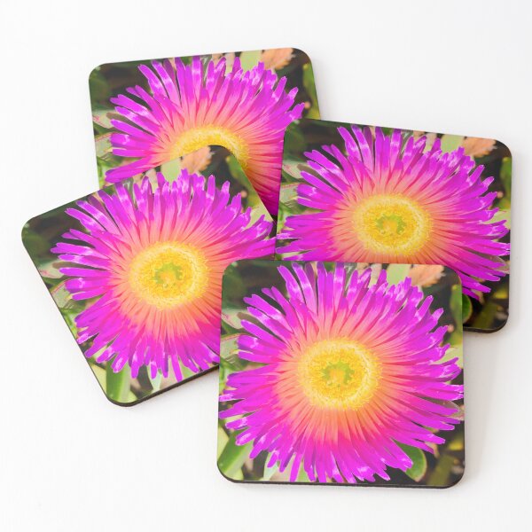 Artikelvorschau, Carpobrotus-Blumen entworfen und verkauft von NatureSoReal.