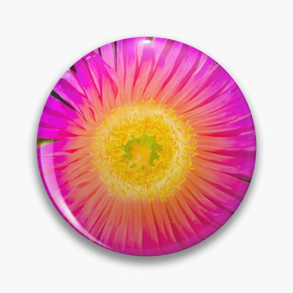 Aperçu de l'œuvre Fleurs de Carpobrotus créée et vendue par NatureSoReal.