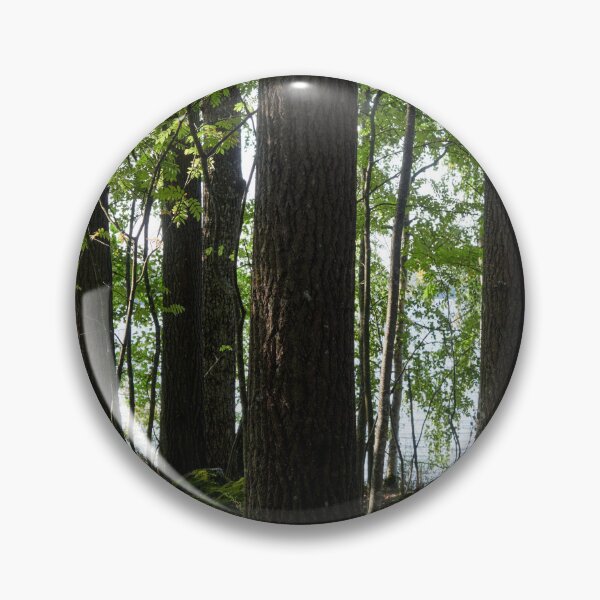 Item preview, Pitkaniemi aspens designed and sold by Jouko Lehto Photography.