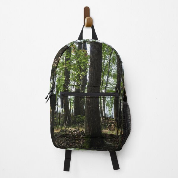 Item preview, Pitkaniemi aspens designed and sold by Jouko Lehto Photography.