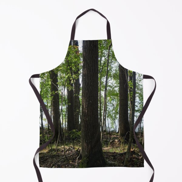 Item preview, Pitkaniemi aspens designed and sold by Jouko Lehto Photography.