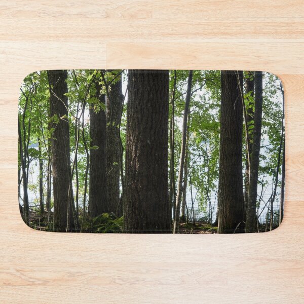 Item preview, Pitkaniemi aspens designed and sold by Jouko Lehto Photography.