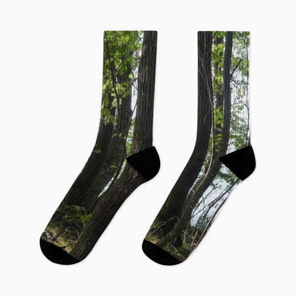 Item preview, Pitkaniemi aspens designed and sold by Jouko Lehto Photography.