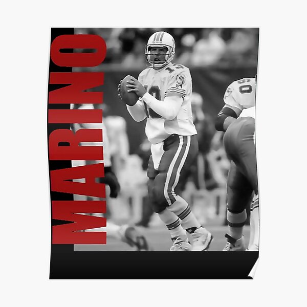 Dan Marino Miami Dolphins Jersey Number Art 2 Poster by Joe