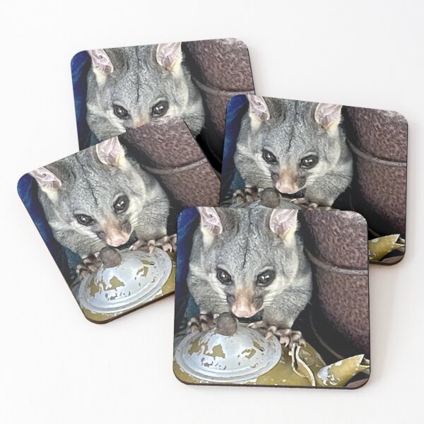Item preview, Possum on the Pot designed and sold by KazM.