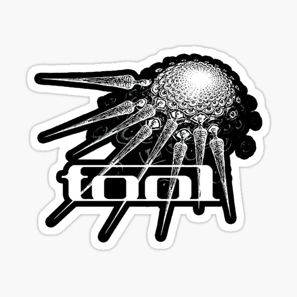 Tool Band Music Spiral Eyes Logo Bumper Sticker 4 x 5
