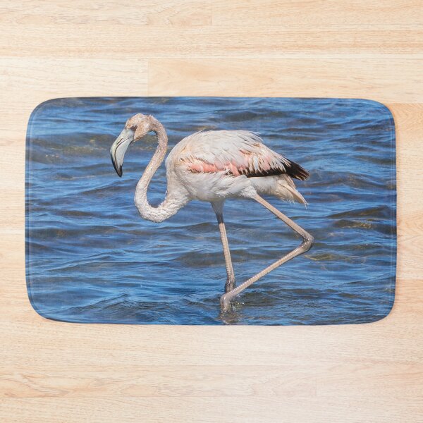 Item preview, Flamingo Chick designed and sold by Dave Hare Photography.