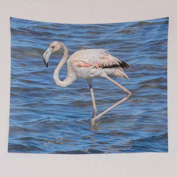 Item preview, Flamingo Chick designed and sold by Dave Hare Photography.