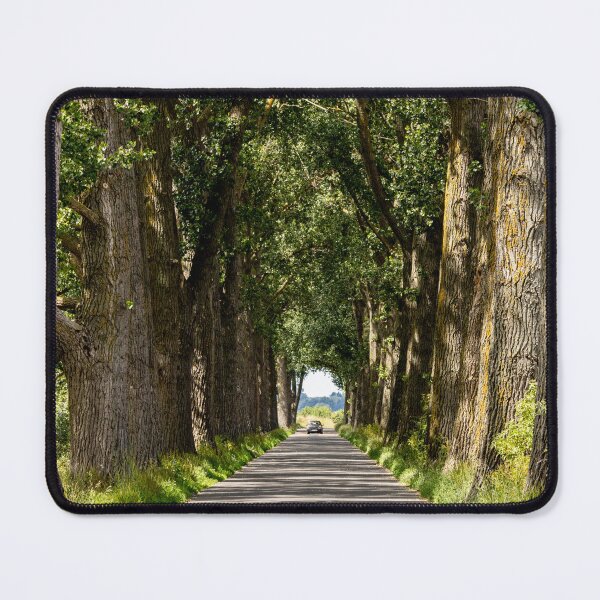 Item preview, A row of trees lines a country road designed and sold by Piotr Front.
