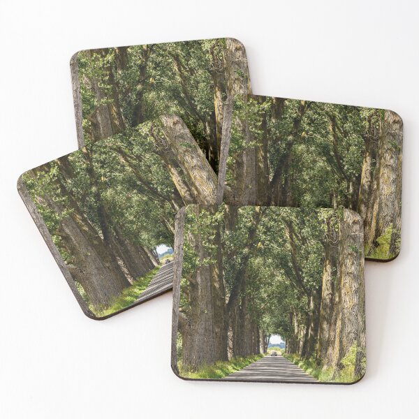 Item preview, A row of trees lines a country road designed and sold by Piotr Front.