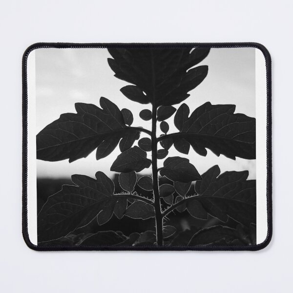 Item preview, Just a branch designed and sold by jpaul thibaut.