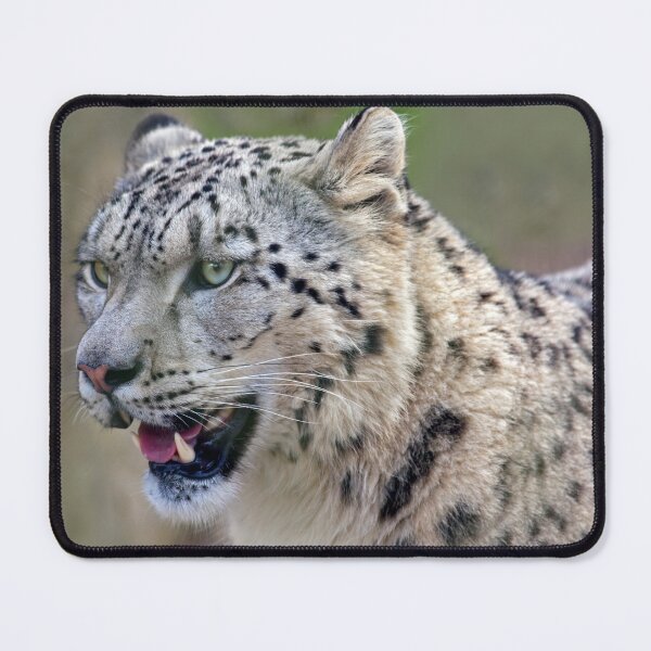 Item preview, Smiling for the Camera? designed and sold by Krys Bailey.