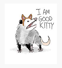"I AM GOOD KITTY" Design Photographic Print