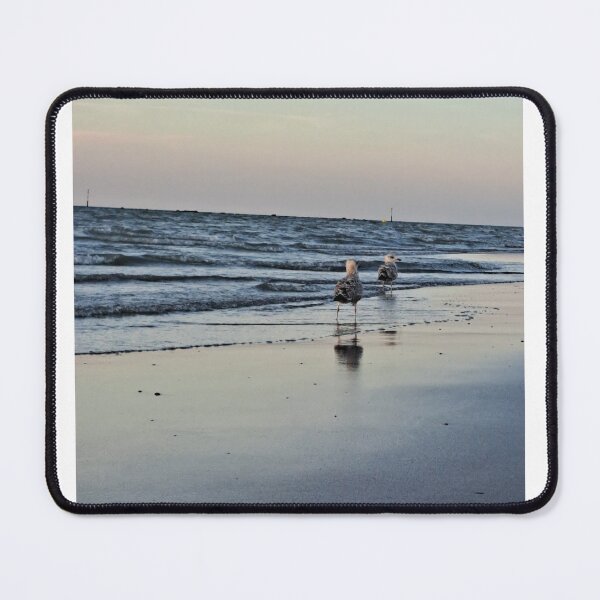 Item preview, Gull at sunset designed and sold by jpaul thibaut.