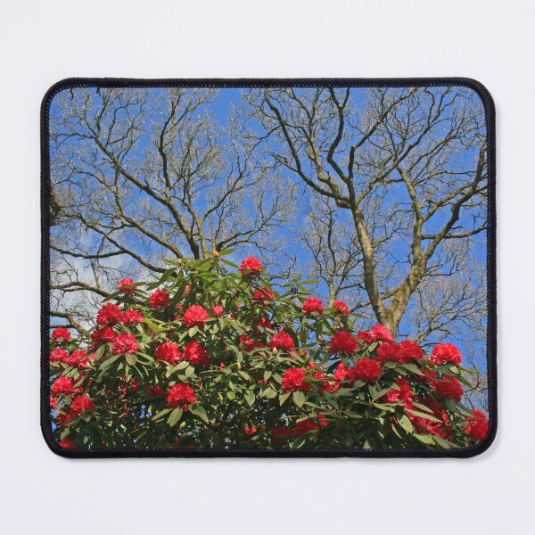Item preview, Branching Out designed and sold by RedHillDigital.