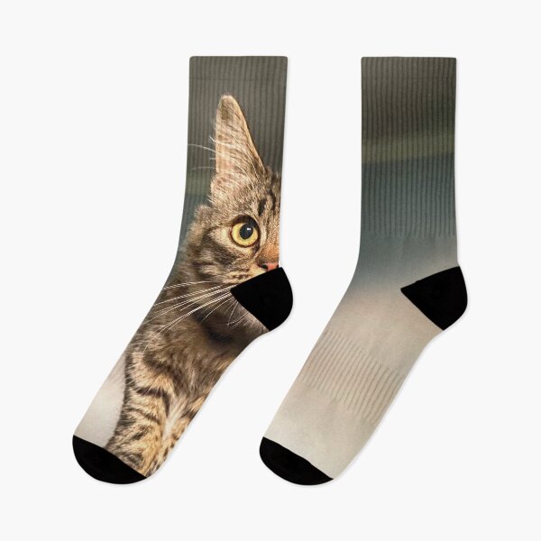 Item preview, Tob cat designed and sold by SolracSier.