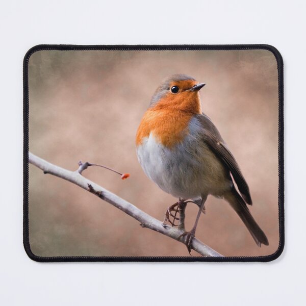 Item preview, Rustic Robin designed and sold by Krys Bailey.