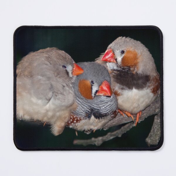 Item preview, The Three Stooges designed and sold by Krys Bailey.