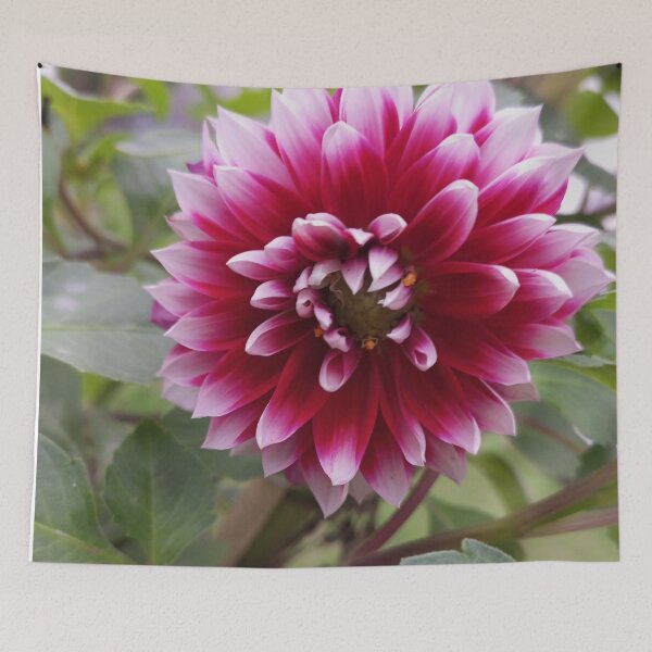 Item preview, Flower Garden designed and sold by Print-wala.