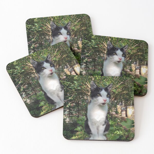 Item preview, Robby the cat in the garden designed and sold by Gourmetkater.