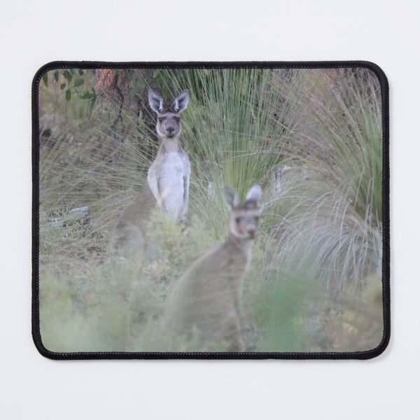 Item preview, kangaroo in chittering designed and sold by Lilian Meyer.