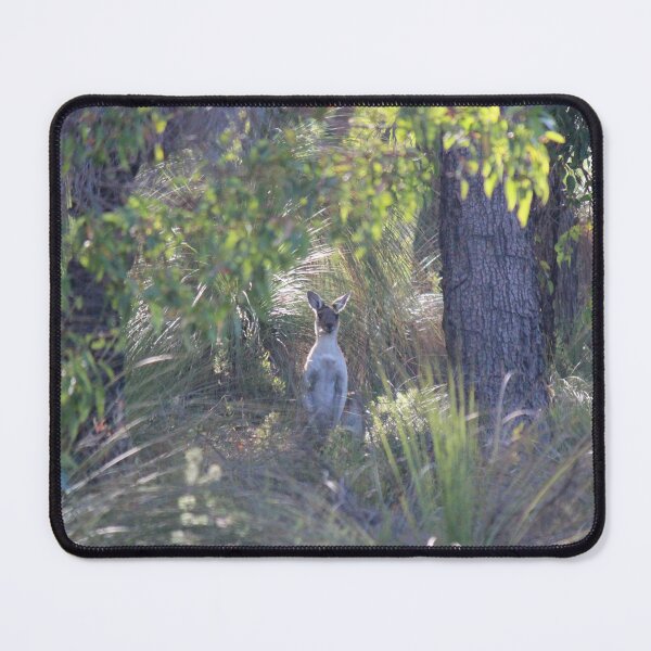 Item preview, kangaroo in chittering designed and sold by Lilian Meyer.