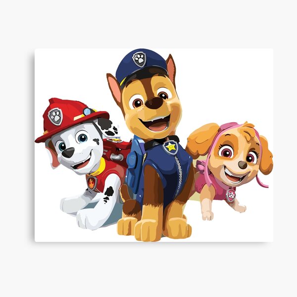 3PCS Cartoon Paw Patrol Skye Chase Boys and Girls Canvas