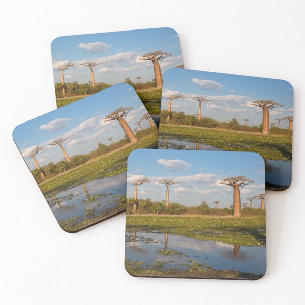 Item preview, Baobabs and Water lilies in a Pond designed and sold by Yair Karelic.