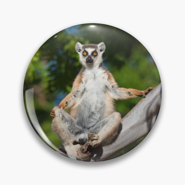 Item preview, Ring-Tailed Lemur Sunbathe designed and sold by Yair Karelic.