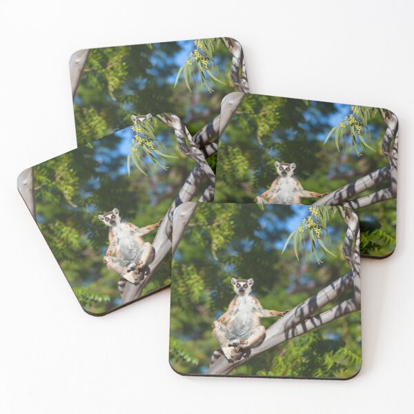 Item preview, Ring-Tailed Lemur Sunbathe designed and sold by Yair Karelic.