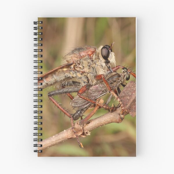 Item preview, Robber Fly and Prey designed and sold by itchydogimages.