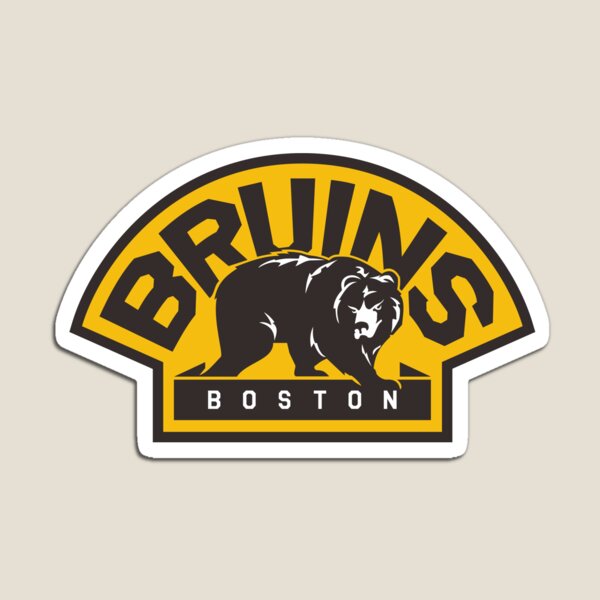  YouTheFan NHL Boston Bruins 3D StadiumView Magnets