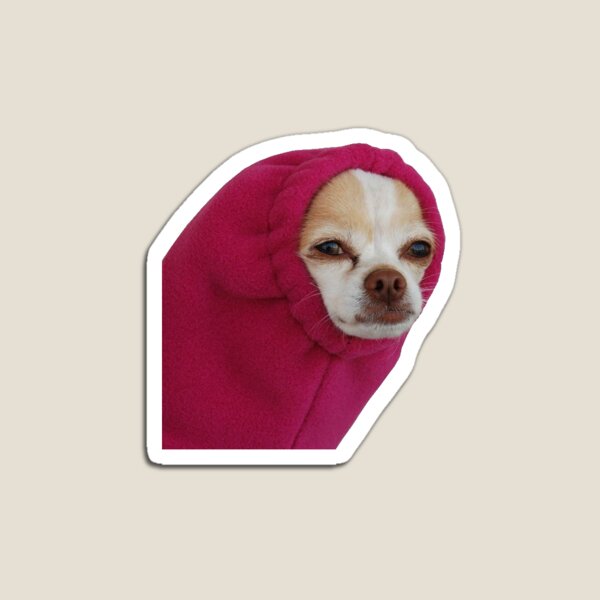 Item preview, SWEATER SLEEVE DOG designed and sold by Rad Merch.