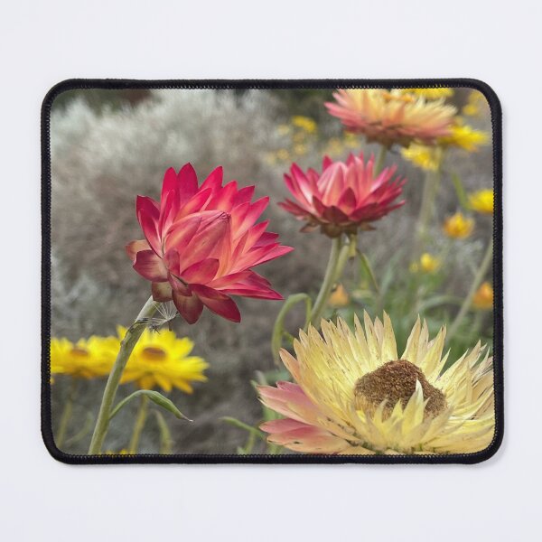 Item preview, Paper daisy designed and sold by AnnasFloristry.