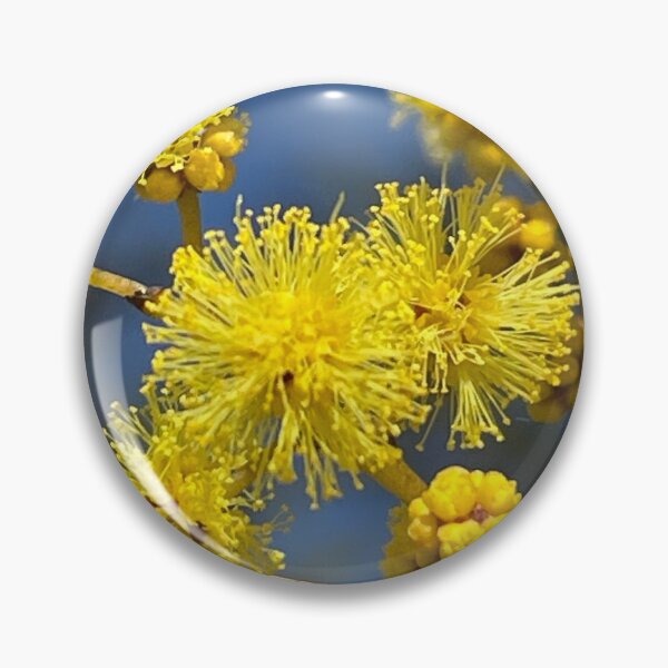 Item preview, Australian Wattle designed and sold by AnnasFloristry.