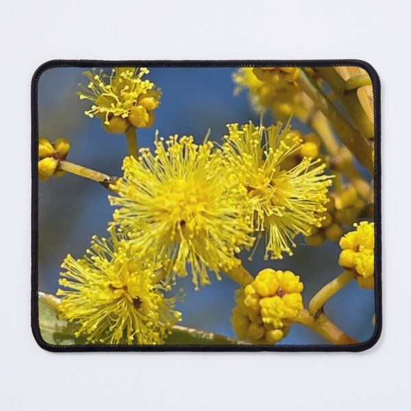Item preview, Australian Wattle designed and sold by AnnasFloristry.
