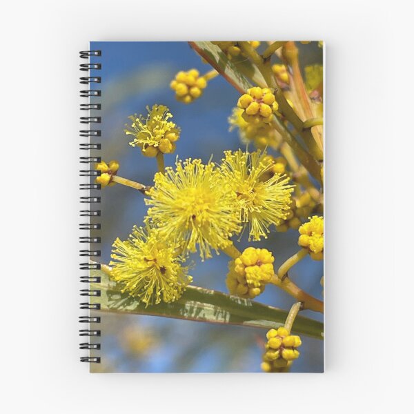 Item preview, Australian Wattle designed and sold by AnnasFloristry.