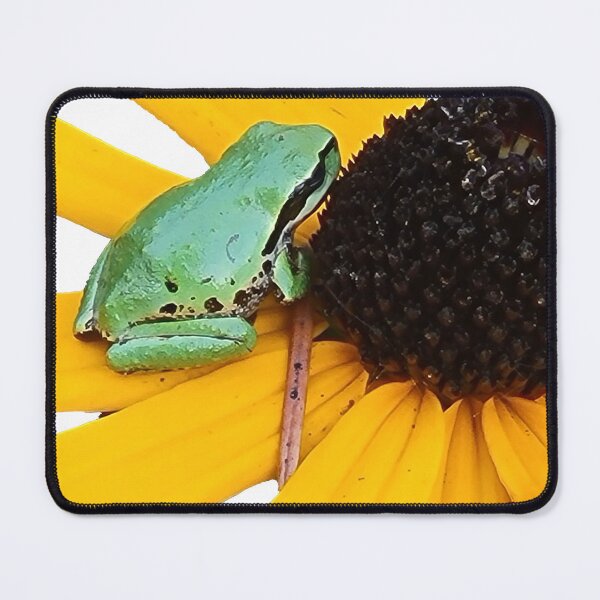 Item preview, Early Tuesday Tree Frog designed and sold by Proptaku.