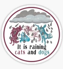 Raining Cats and Dogs Sticker